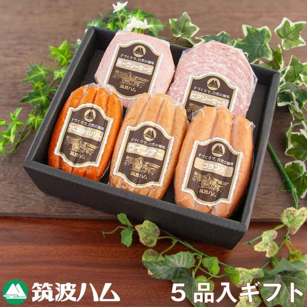 筑波ハムギフトセット19-11 ウィンナー ソーセージ 鶏ささみ燻製 お歳暮 寒中御見舞い 御礼 御祝 内祝い 誕生日 最高級 茨城県 特産品 /【Buyee】 筑波ハムギフトセット19-11 ウィンナー ソーセージ 鶏ささみ燻製 お歳暮 寒中御見舞い 御礼 御祝 内祝い 誕生日 最高級 茨城県 特産品 /【Buyee】