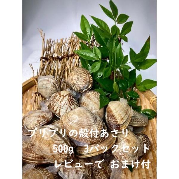 あさりさま 専用 あさり様 専用】 専用】asari様 あさり様専用 【公式通販】 あさり様