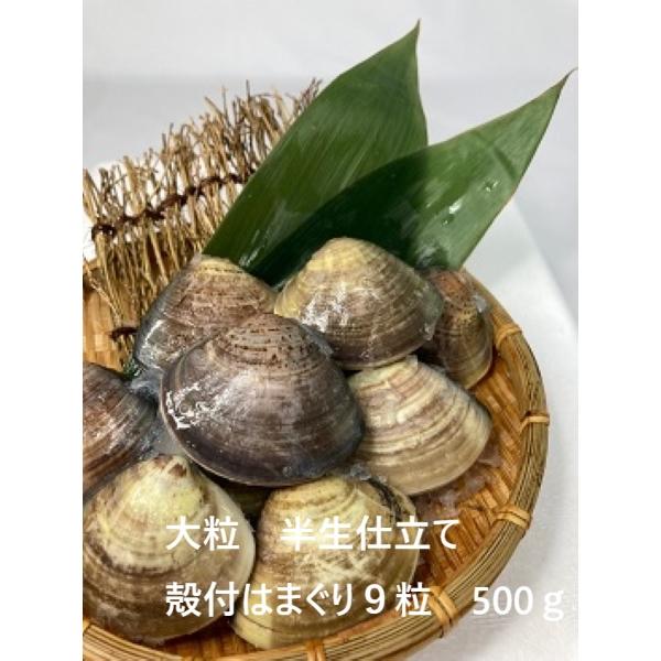 【はまぐり 様】専用! 殻付はまぐり （半生仕立て 500gパック・9粒入） : 二枚貝屋 - 通販