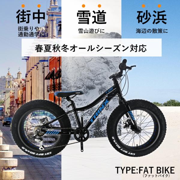 ファットバイク 自転車 20インチ 極太タイヤ 太いタイヤ シマノ W