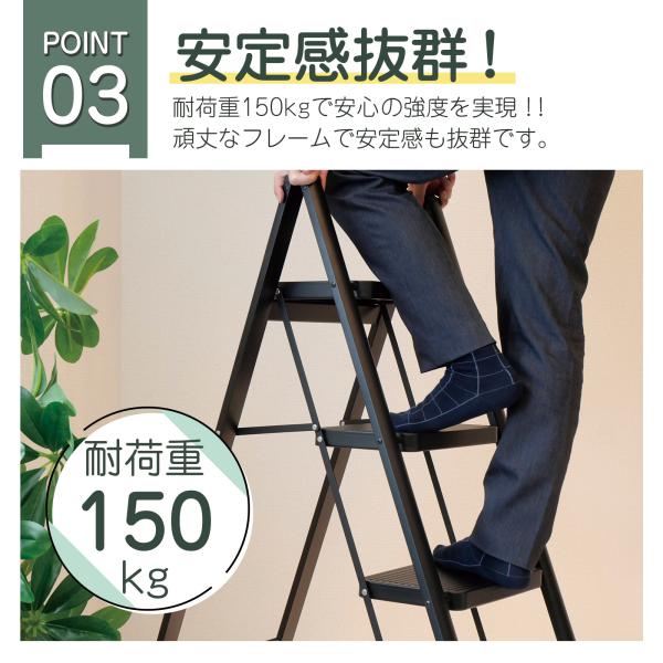 2ndhand_ladder03-3_4_d_20260116161818