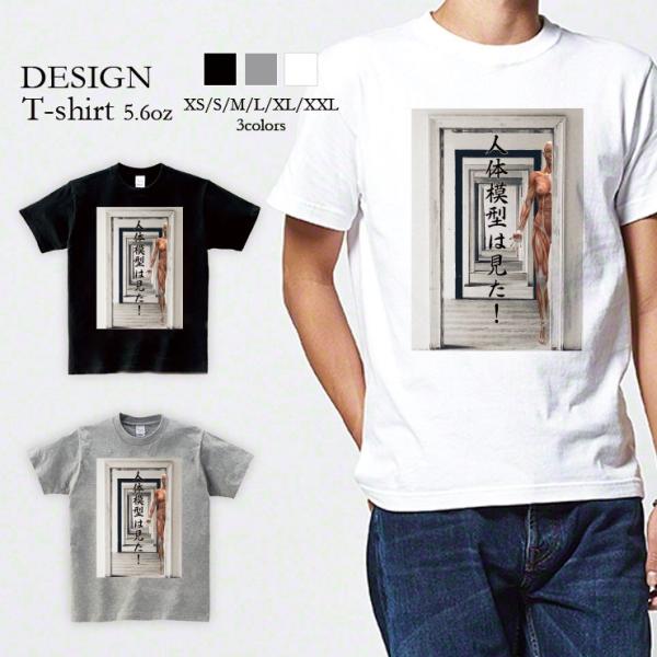 TVc fB[X  gbvX uh jZbNX Y vgTVc l̖͌^  pfB sC