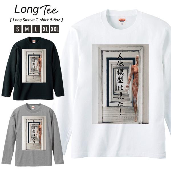 TVc Y T  jZbNX N[lbN UlbN l̖͌^  pfB sC