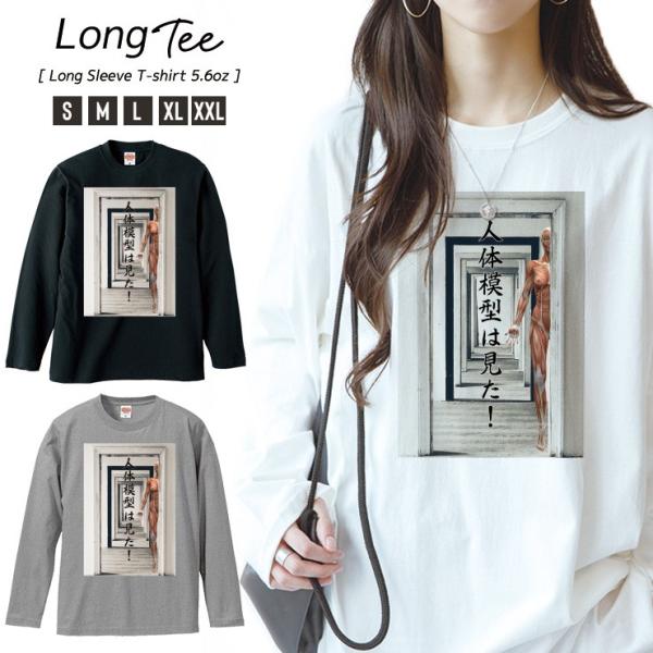 TVc fB[X T  jZbNX N[lbN UlbN yA 낢 l̖͌^  pfB sC