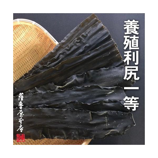 利尻昆布 養殖1等 500g 北海道水産物検査協会検査物 Buyee Buyee Japanese Proxy Service Buy From Japan Bot Online