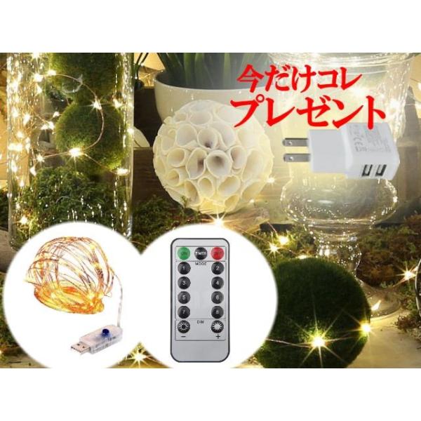 100LED　10ｍ　LEDワイヤーライト　銅線　LEDストリングライト /パーティライト/クリスマスツリー/イルミネーション/