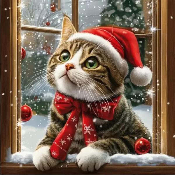 布サイズ（約）：30ｘ30cm図柄サイズ（約）：25ｘ25cmビーズ色数：25色● 完備なツールキットダイヤモンドアートに必要なすべてのツールがセットになっています。ペン先に接着剤を付け、キャンバス上の記号や英数字に対応するビーズを貼り付け...