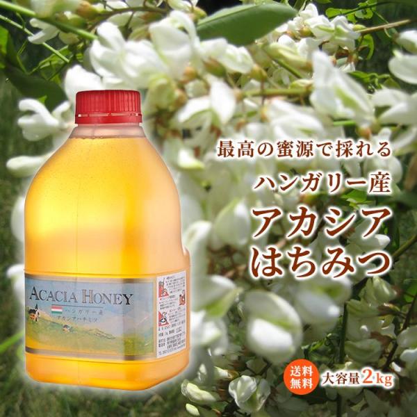 ハンガリー産アカシアはちみつ 業務用 ハチミツ 蜂蜜