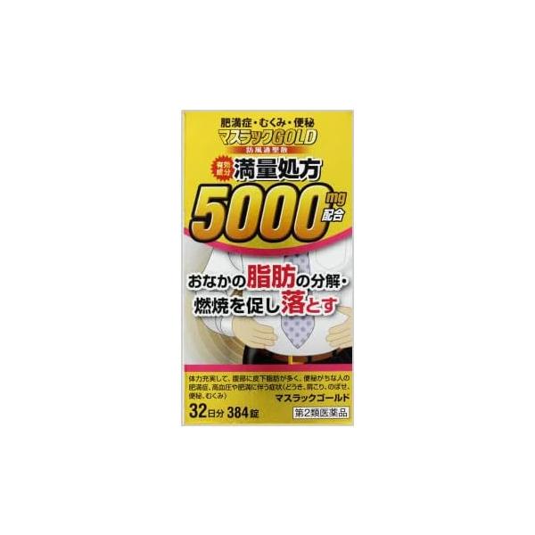 【第2類医薬品】マスラックGOLD 384錠