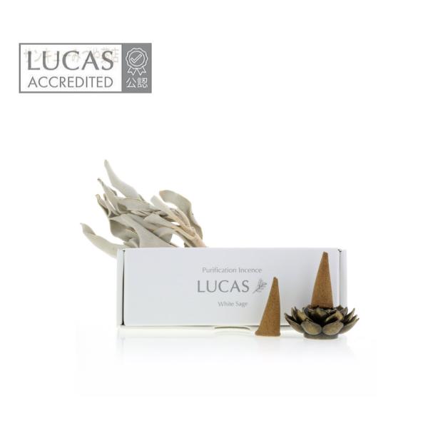 他サイト： 【NEW】ホワイトセージ 浄化香 （コーンタイプ 20個入　天然成分100%のお香） LUCAS ルカス　爆買の商品画像