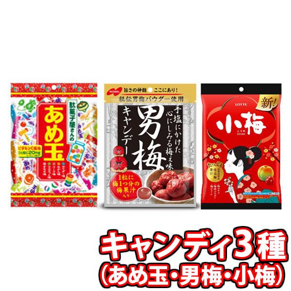 お菓子 詰め合わせ (全国送料無料) うめ〜！すっぱいキャンディ（男梅