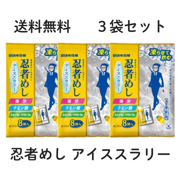 3袋セット UHA味覚糖 忍者めし アイススラリー すっきり柑橘系味 1袋