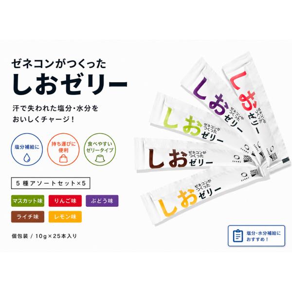 ゼネコンがつくったしおゼリー 5種アソート 25本セット（内容が分かる）10g 個包装 塩分補給 熱中症対策 ゼリー