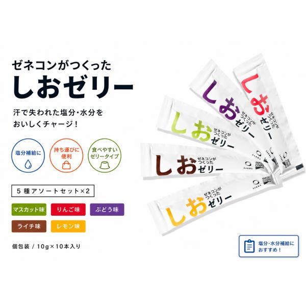 ゼネコンがつくったしおゼリー 5種アソート 10本セット（内容が分かる