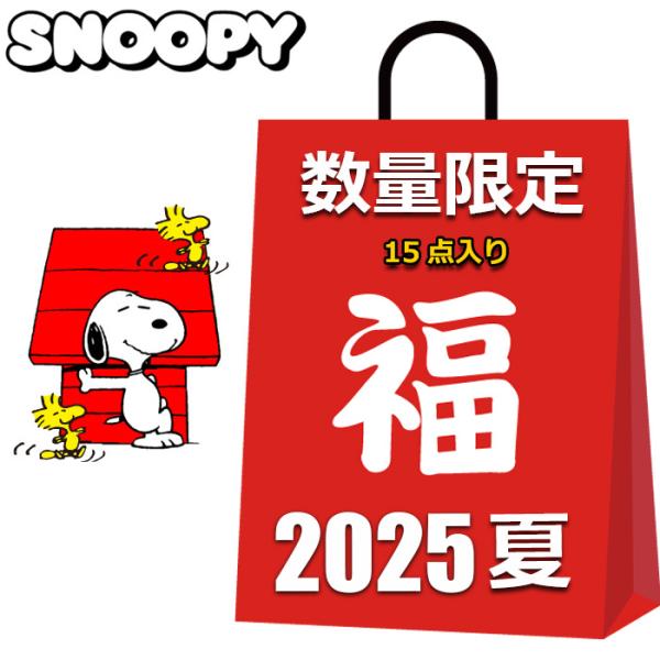 SNOOPY（スヌーピー） 福袋 2026 15点入り スヌーピーグッズ