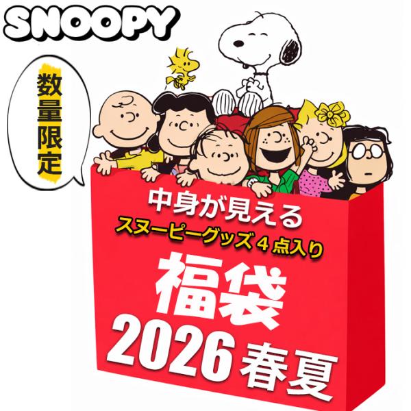 【新品】スヌーピーグッズまとめ売り SNOOPY（スヌーピー） グッズ 2026 福袋 中身が見える 4点入り 2500円