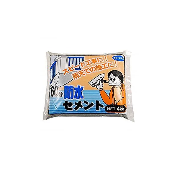他サイト： 家庭化学 60分防水セメント グレー 4kgの商品画像
