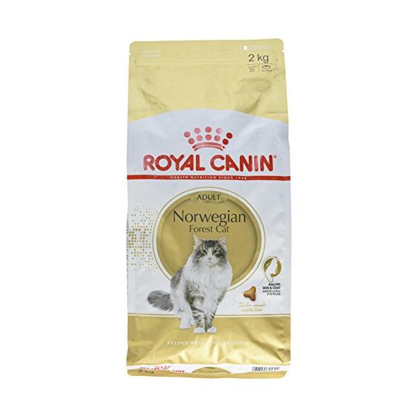 他サイト： ロイヤルカナン FBN ノルウェージャンフォレストキャット 成猫用 2kgの商品画像