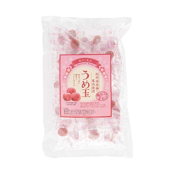 テラモト 梅菓子 うめ玉 50個