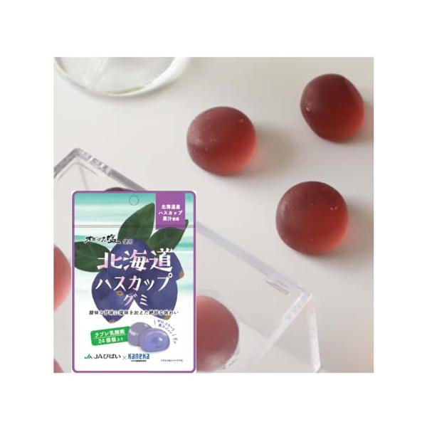 他サイト： 10袋セットカネカ食品 北海道ハスカップグミ 果汁グミ ラブレ乳酸菌入り 40g×10袋 グミ 人気 大容量の商品画像