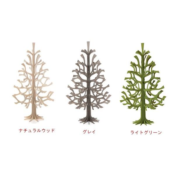 ylovi/BzNX}Xc[ mominoki 25cm