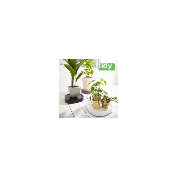 ytidy/eBfBzv^u PlantableyAؔg[ ϗtA fUCG  K[fjO oRj[ x_ ItBX fUCG egz