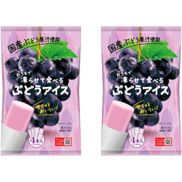 ポイント消化 お菓子 送料無料 500円 おうちで凍らせて食べる アイス シャーベット ぶどう 2袋（8本入）スティック 常温 国産果汁 谷尾食糧