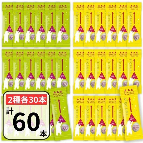 井村屋 ワンプッシュゼリー 塩ぷるレモン 塩ぷるウメ 60本（各30本） 梅 ぬちまーす使用 クエン酸 塩分補給 個包装 小分け 業務用 ゼリー 塩ぷる梅 熱中症対策