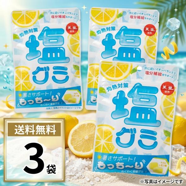 ポイント消化 送料無料 500円 グミ 塩グミ レモン味 3袋 おやつ お菓子 灼熱対策 赤穂の天塩 夏バテ防止 塩分補給 クエン酸 熱中症対策 赤穂化成