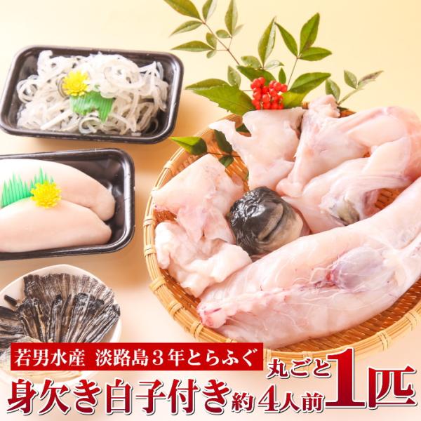 ３年とらふぐ丸ごと1匹身欠き白子付き 元魚1 3kg 大きくなりました 鍋5人前淡路島３年とらふぐ若男水産 Buyee 日本代购平台 产品购物网站大全 Buyee一站式代购