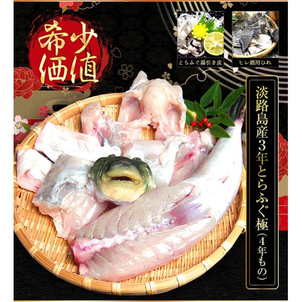 全国で購入出来るのは若男水産のみ！４年とらふぐお届け致します！新鮮第一！お好みでお鍋・お刺身に！