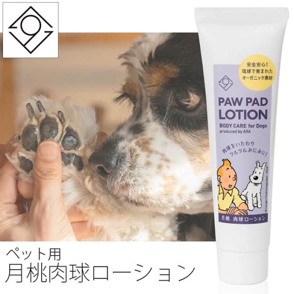 【オーガニックケアブランド A9A】A9A for Dogs 月桃肉球ローション 50mg 愛犬 天然オーガニックハーブ100% 月桃 搾汁液蒸留法 有機JAS認定