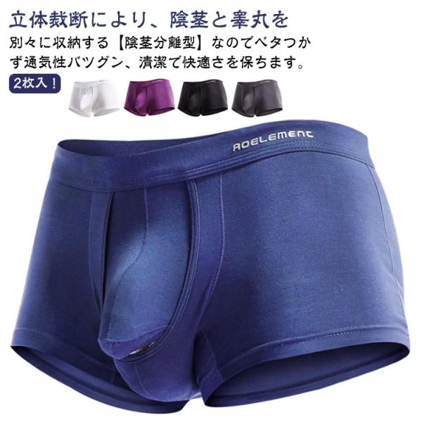 下向き 2枚セット ボクサーパンツ アンダーウェア パンツ セクシー