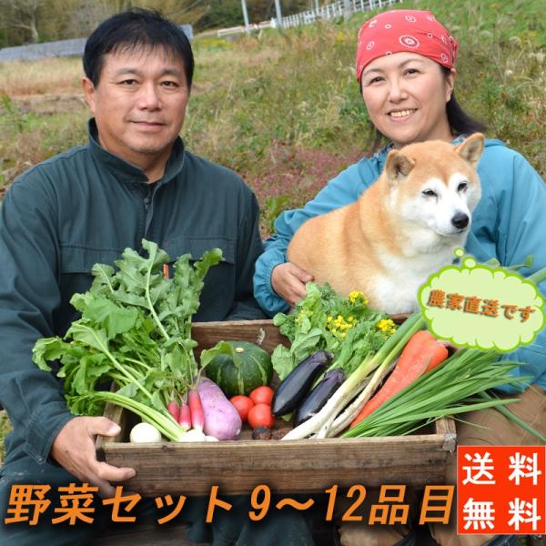 送料無料！『農家直送！南房総の豊かな土壌で育った野菜セット（9〜12品目）』