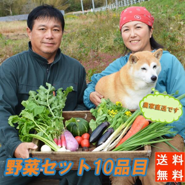 送料無料！『農家直送！南房総の豊かな土壌で育った野菜セット（10品目）』3〜4名様向け