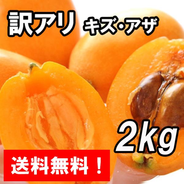 送料無料『訳アリ 房州びわ/枇杷 2kg キズ・アザあり』家庭・加工用 南房総市産のジューシーで大実の枇杷を農家から直送！※5月末〜6月10日頃発送