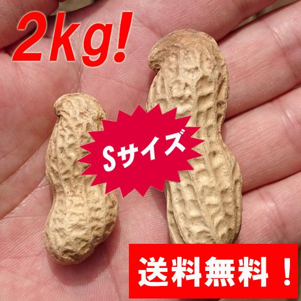 送料無料！『生落花生 おおまさり 2kg（Sサイズ）』茹で落花生に最適！千葉県南房総産のジャンボピーナッツ