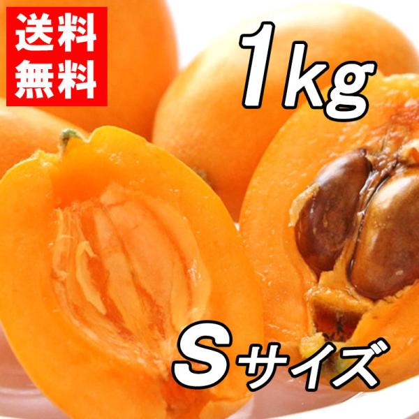 送料無料『房州びわ/枇杷 Sサイズ1kg入り』南房総市産の枇杷を農家から直送！