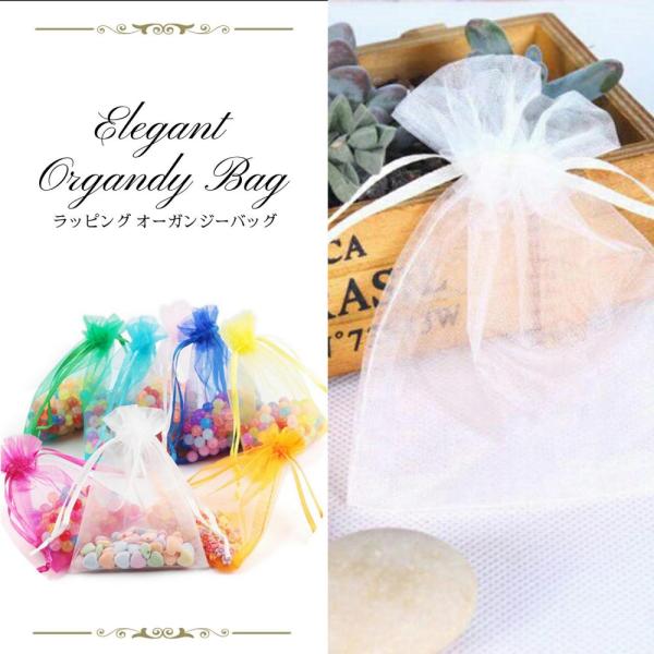 ラッピング 巾着 オーガンジー 袋 ギフト 包装 SW1598 大10枚 20*30cm