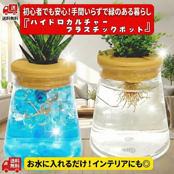 ＼ 毎日の「水換え」が楽しみになる ／コロンと可愛いフラスコ型。土を使わず、お部屋を汚さない「大人の理科実験」セット。「観葉植物を置きたいけど、虫が湧くのは嫌だ…」「土でお部屋が汚れるのが心配…」そんなお悩み、この透明フラスコポットが解決し...