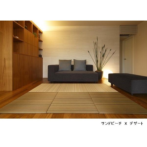 u@Y@ϐ sekisui tA  EARTH fU[g