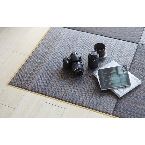 u@Y@ϐ sekisui tA  EARTH iCgtHXg