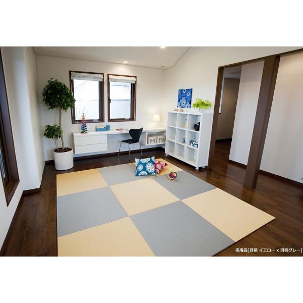 u@Y@ϐ sekisui tA  MIGUSA ڐ CG[