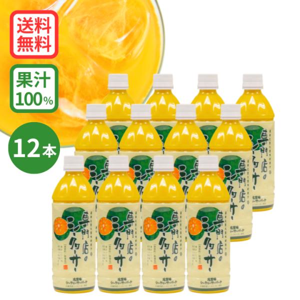 シークワーサー 果汁 ジュース 青切り 果実　専門店のシークヮーサー 500ml×12本