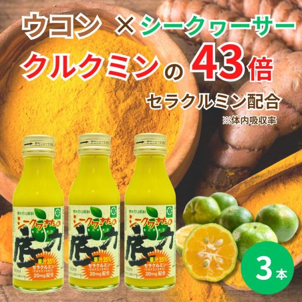 4193honpo_2116103y