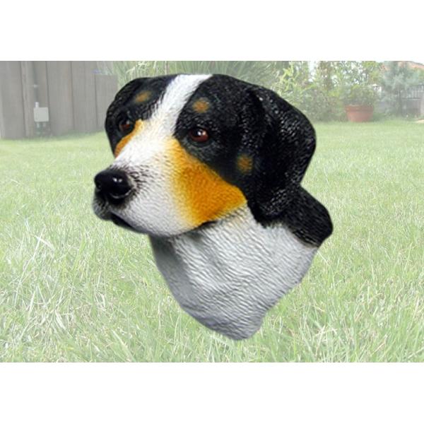 【定形外郵便で、全国一律１４０円でお届け!!】定形外郵便は通常の宅配便と異なり直接ポストへ投函するお届け方法です。宅配便のように受領印やサインのやり取りが無く、ご不在時であってもお受け取りいただけます。また、沖縄等の離島区域の場合でも別途送...