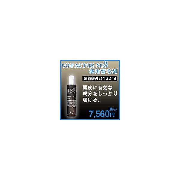 GO-FACTOR　NO3　薬用育毛剤　医薬部外品【通常】