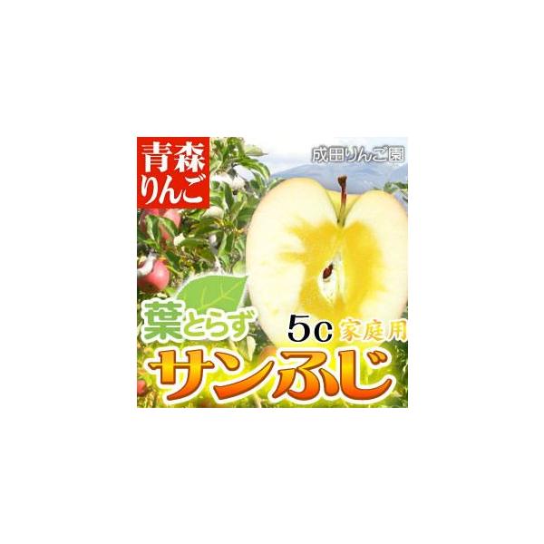 @Ȃ肽񂲉 ƒp tƂ炸Tӂ 5kg@ь  S ͂Ƃ炸 ͂Ƃ炸 񂲂TKg 񂲃W[X SW[X