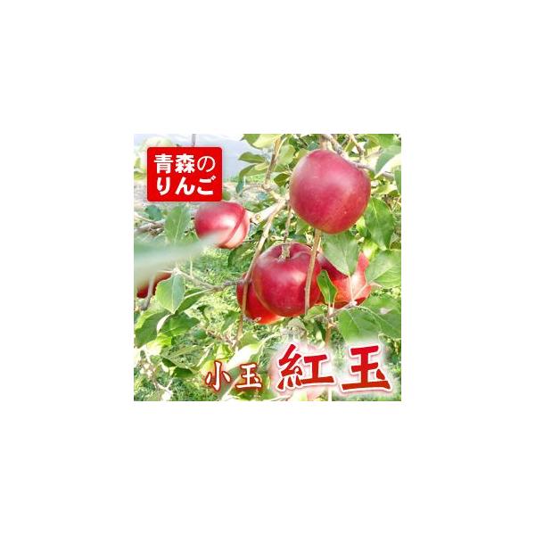 X g ƒp 5C S ь  gʂ񂲁@gʂ񂲖󂠂@gʃS@gʖ󂠂 񂲂T