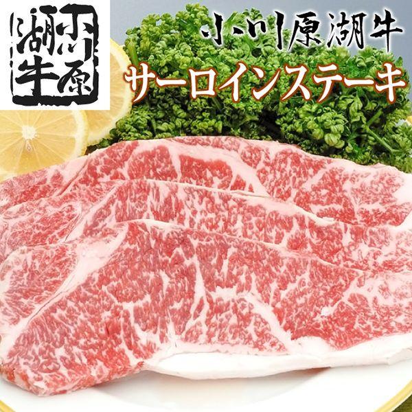 쌴΋  T[C 200gx2(^t)@Mtg Xe[L 󂠂 ubN